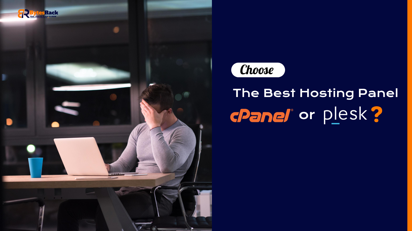 cPanel or Plesk